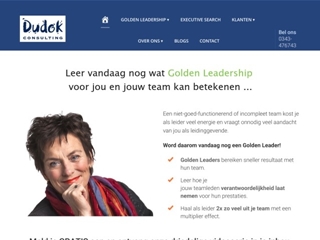 DUDOK CONSULTING