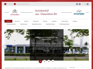 CITROEN/HYUNDAI DEALER OSSENBLOK