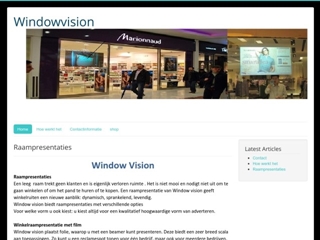 WINDOW VISION