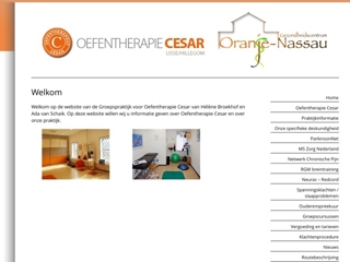 CESAR OEFENTHERAPIE MAATSCHAP