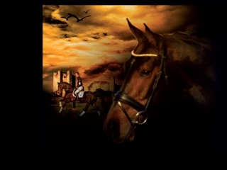 VIRTUAL ZONE HORSES