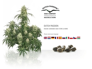 DUTCH PASSION ZAADHANDEL