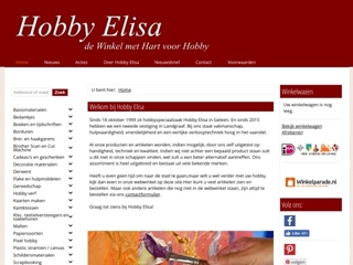 HOBBY ELISA