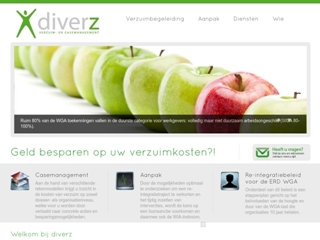 DIVERZ VERZUIM- EN CASEMANAGEMENT