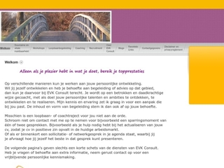 EVK CONSULT