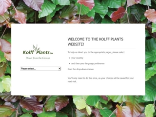 KOLFF PLANTS BV