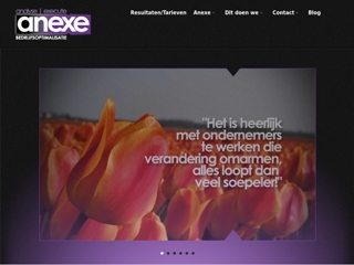 ANEXE