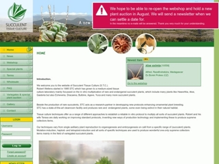 SUCCULENT TISSUE CULTURE (S.T. C.)