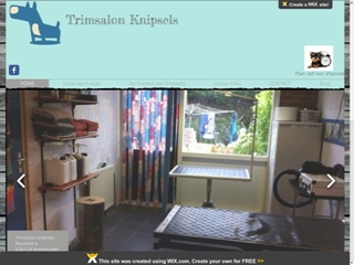 TRIMSALONS KNIPSELS