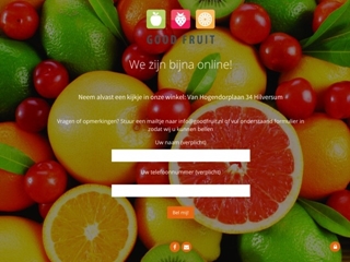 GOODFRUIT.NL