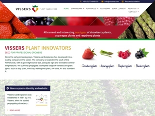 VISSERS AARDBEIPLANTEN BV