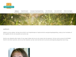HAPTOTHERAPIEPRAKTIJK MIRANDA SUSEBEEK
