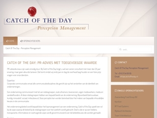 CATCH OF THE DAY PERCEPTION MANAGEMENT BV