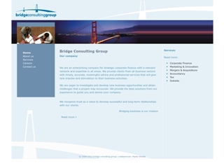 BRIDGE CONSULTING GROUP