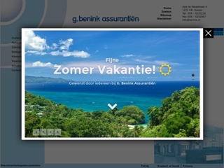 BENINK ASSURANTIEN G