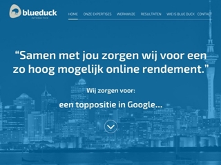 BLUE DUCK INTERACTIVE