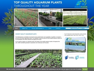 AQUAFLEUR INTERNATIONAL BV
