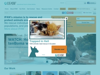 IFAW (INTERNATIONAL FUND FOR ANIMAL WELFARE)