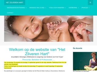 ZILVEREN HART HET