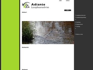 ADIANTE LOOPBAANADVIES