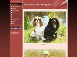 ACTA FOTOGRAFIE