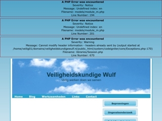 WSW HOLDING BV