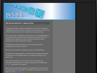 BVS SECURITY SYSTEMS