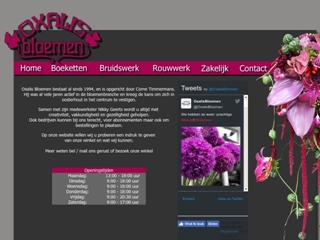 BLOEMEN OXALIS