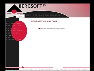 BERGSOFT BV