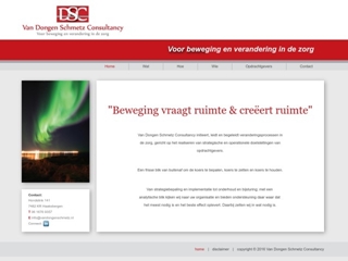 VAN DONGEN SCHMETZ CONSULTANCY