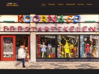 KOORN & CO FEESTARTIKELEN