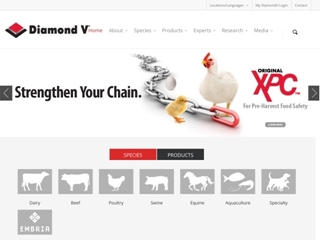 DIAMOND V EUROPE