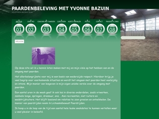PAARDENBELEVING