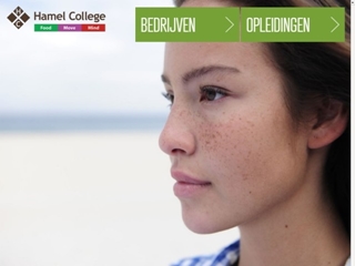 HAMEL COLLEGE