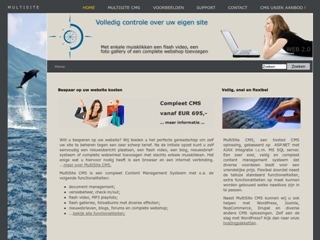 MULTISITE INTERNET SOLUTIONS