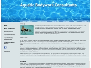 ACUPUNCTURE BODYHEALTH CLINIC