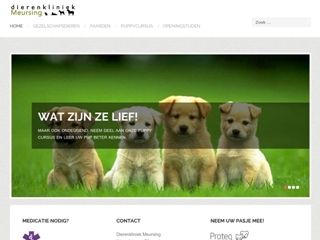 MEURSING DIERENKLINIEK