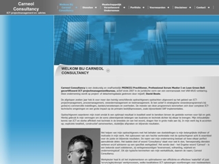 CARNEOL CONSULTANCY