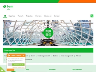 BAM LEIDINGEN & INDUSTRIE BV