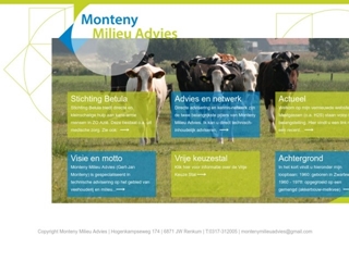 MONTENY MILIEU ADVIES
