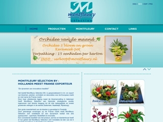 MONTFLEURY SELECTION BV