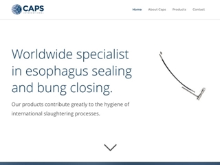 CAPS INTERNATIONAL BV