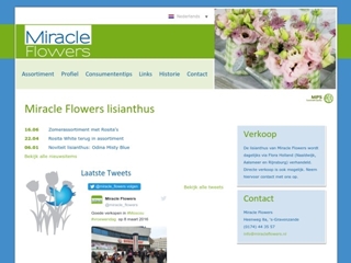MIRACLE FLOWERS