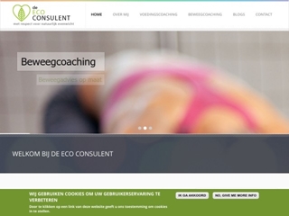 ECO CONSULENT DE