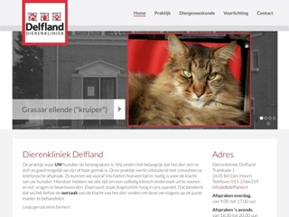 DIERENKLINIEK DELFLAND