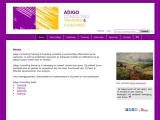 ADIGO CONSULTING