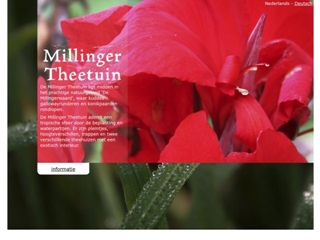 MILLINGER THEETUIN