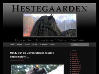 HENGSTENHOUDERIJ HESTEGAARDE