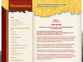 FLOWMOTION FYSIO