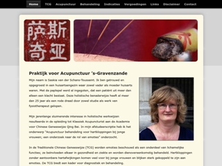 PRAKTIJK VOOR ACUPUNCTUUR SASKIA VAN DER SCHANS-ACUPUNCTUUR